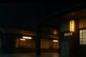 《老唱片修复记》唱针落在黑胶凹槽上的放大画面